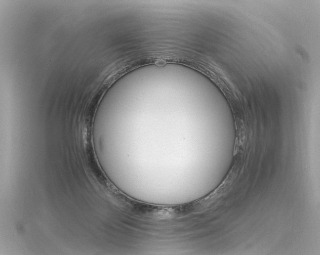 X0000116330124200912011013