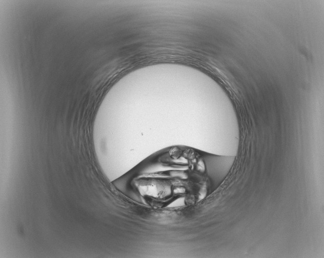 X0000116330125200912011013