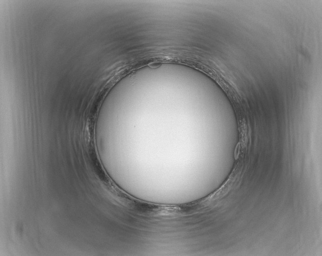 X0000116330128200912011013