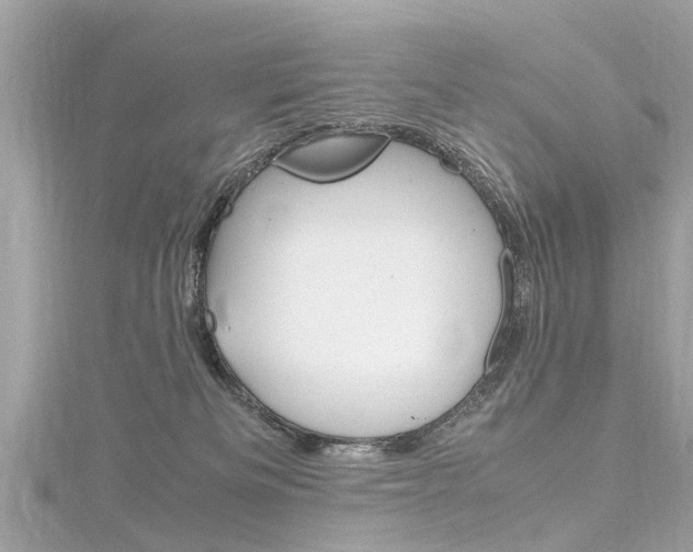 X0000116330133200912011013