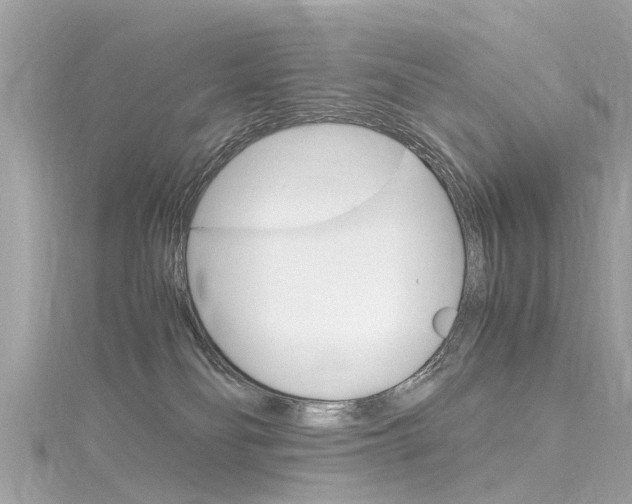 X0000116330134200912011013