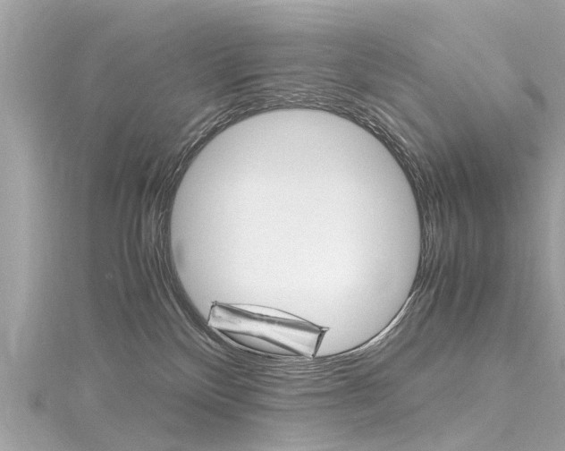 X0000116330136200912011012