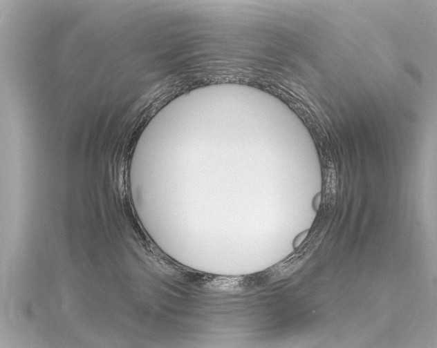 X0000116330138200912011012