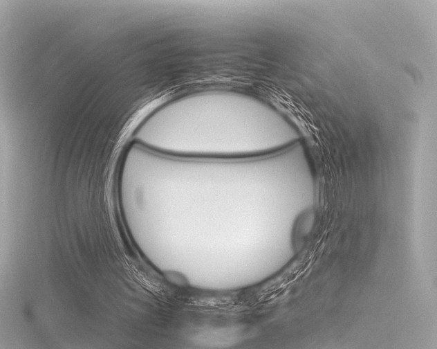 X0000116330147200912011012