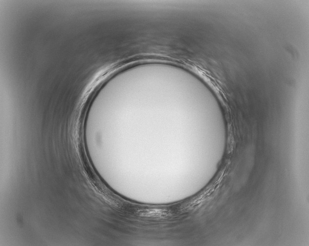 X0000116330151200912011012