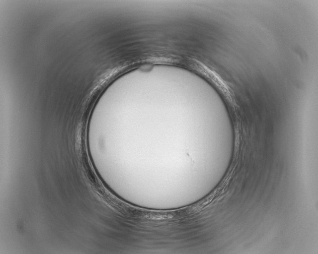 X0000116330155200912011012