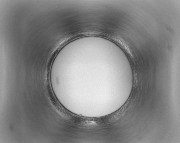 X0000116330159200912011012