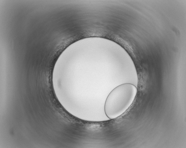 X0000116330162200912011012