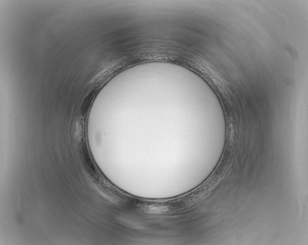 X0000116330165200912011012