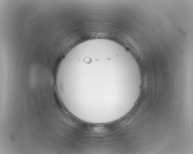 X0000116330173200912011012