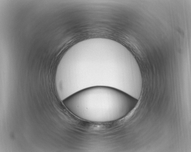 X0000116330174200912011012