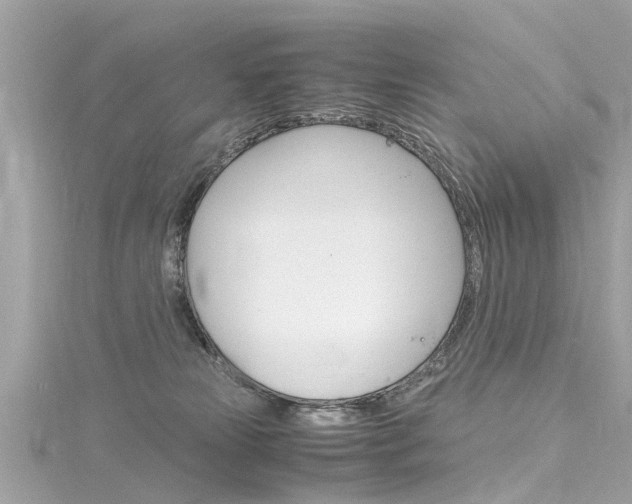 X0000116330181200912011012