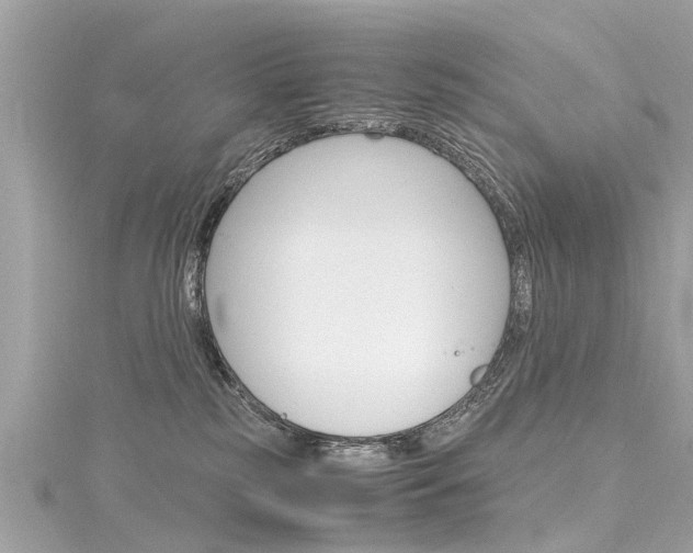 X0000116330185200912011012