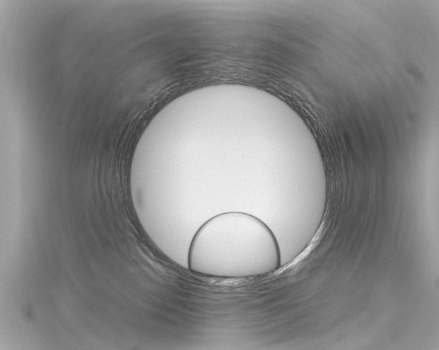 X0000116330186200912011012
