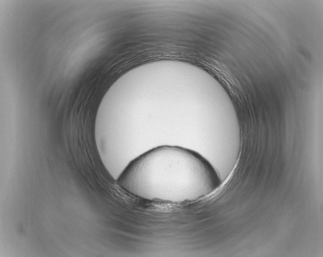X0000116330190200912011012