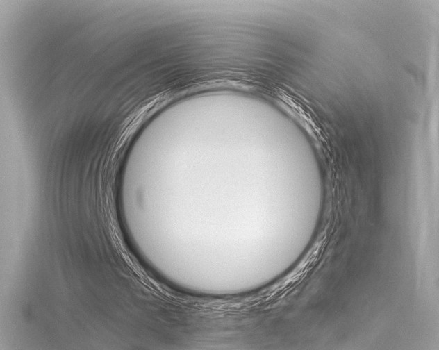 X0000116330193200912011012
