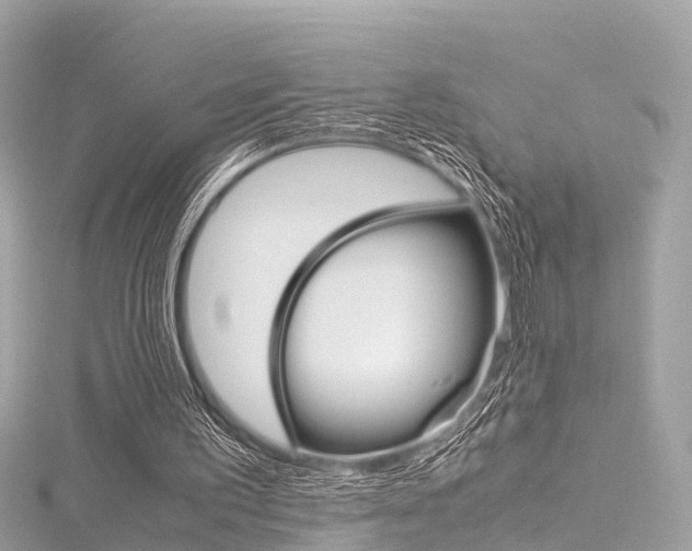 X0000116330195200912011012