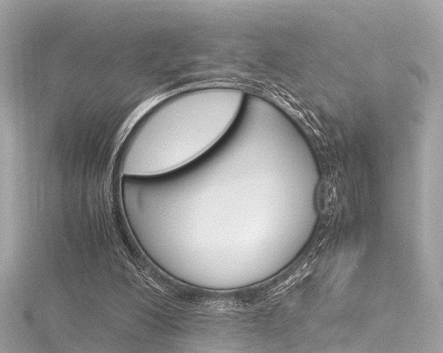 X0000116330200200912011012