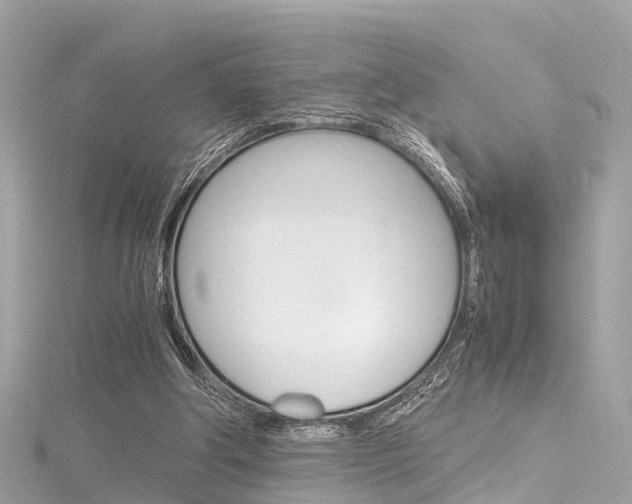 X0000116330202200912011012