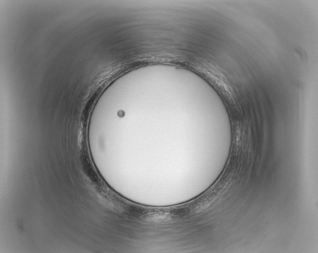 X0000116330206200912011012