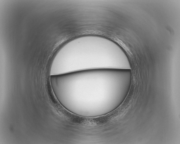 X0000116330207200912011012
