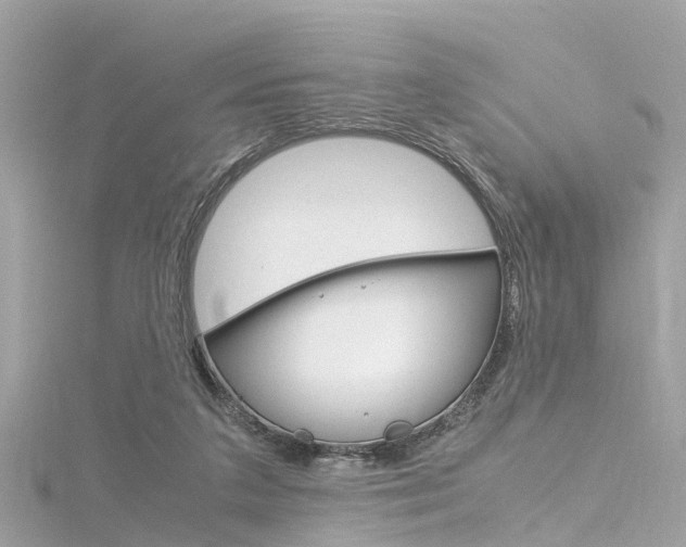 X0000116330211200912011012