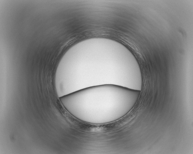 X0000116330216200912011011