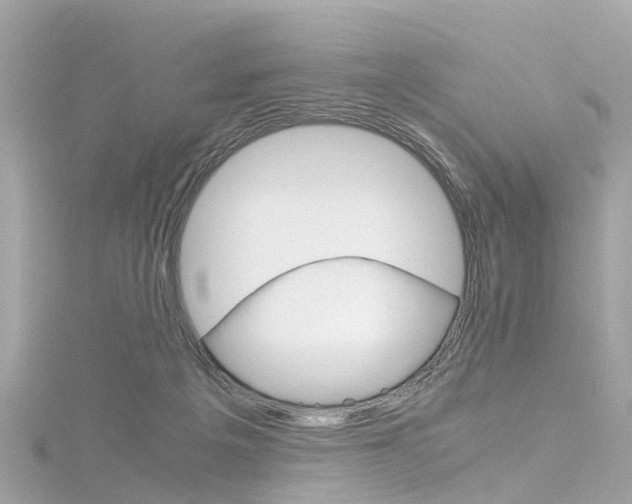 X0000116330217200912011011