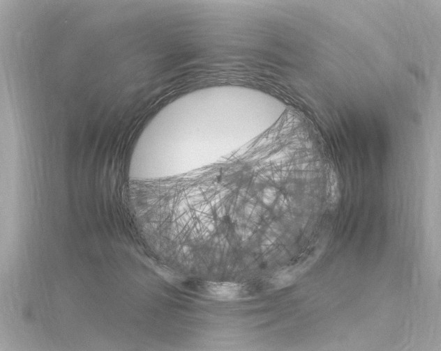 X0000116330226200912011011