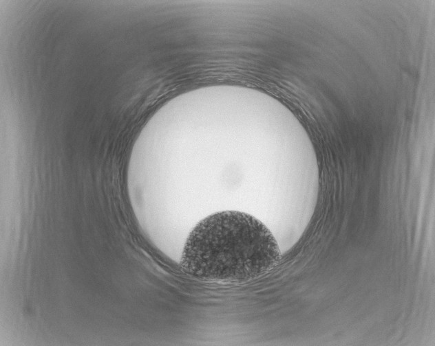 X0000116330227200912011011