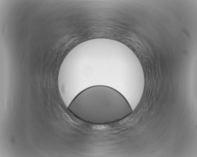 X0000116330231200912011011
