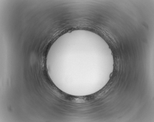 X0000116330232200912011011