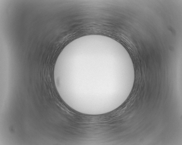 X0000116330233200912011011