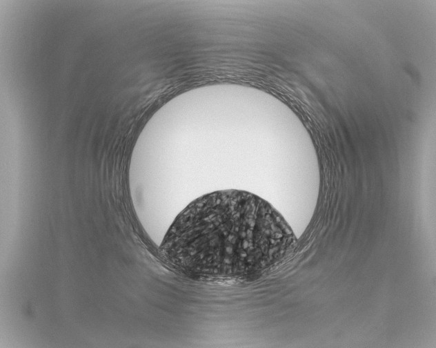 X0000116330235200912011011