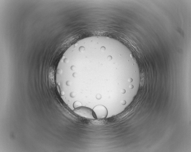 X0000116330238200912011011