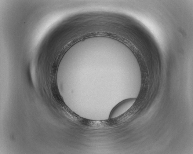 X0000116330239200912011011