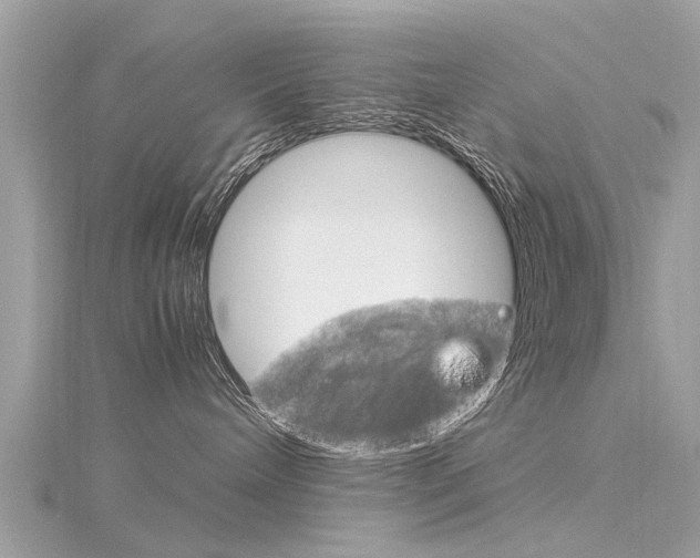 X0000116330240200912011011