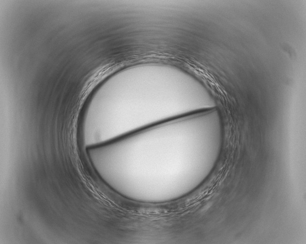 X0000116330242200912011011