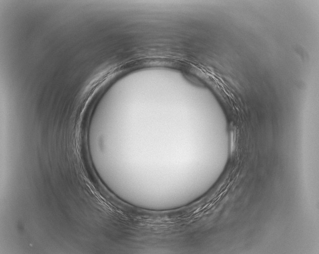 X0000116330243200912011011
