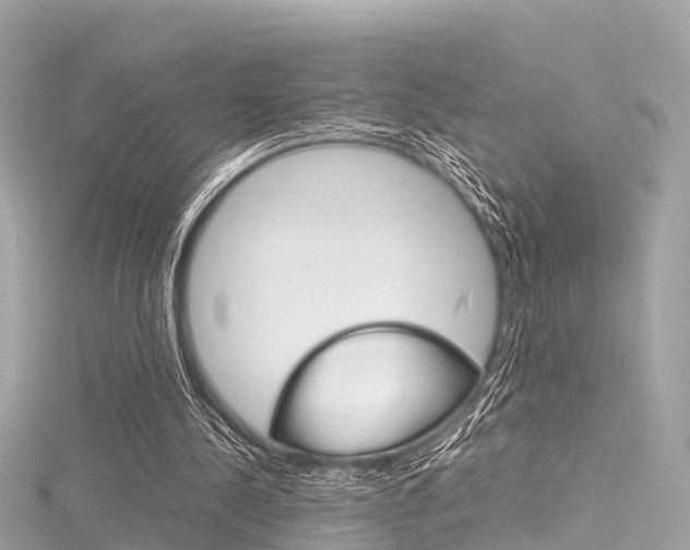 X0000116330244200912011011