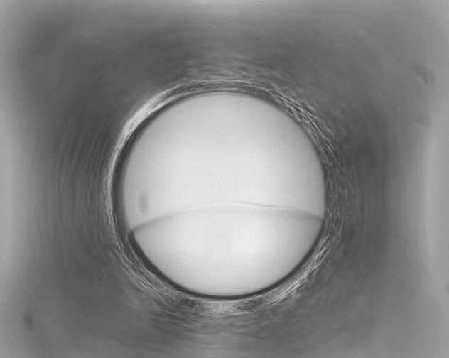 X0000116330246200912011011