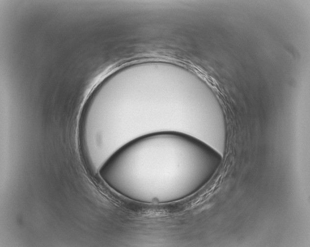 X0000116330248200912011011