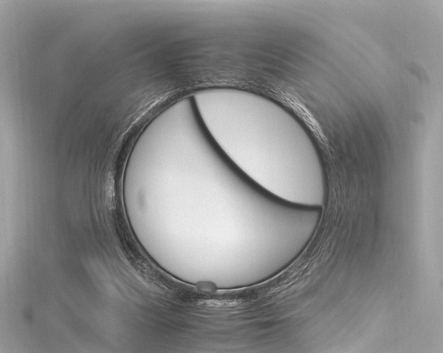 X0000116330251200912011011