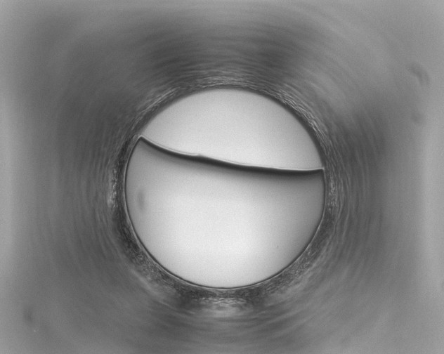 X0000116330255200912011011