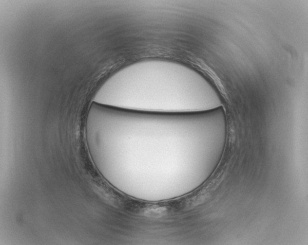 X0000116330257200912011011