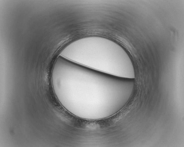 X0000116330258200912011011