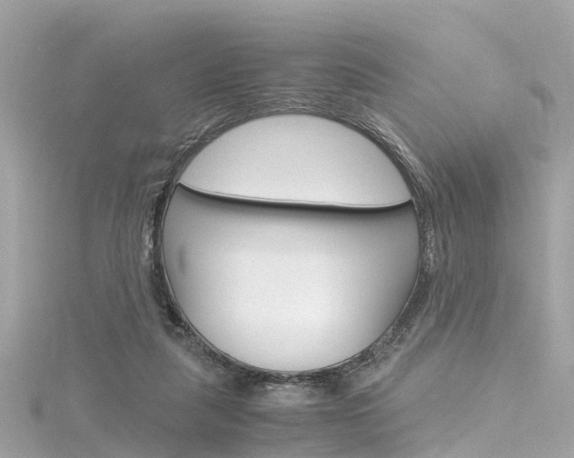 X0000116330259200912011011