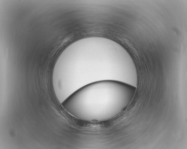 X0000116330260200912011011