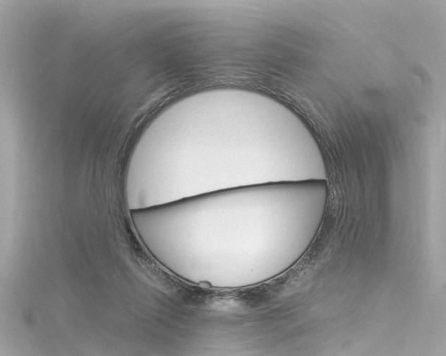 X0000116330262200912011011