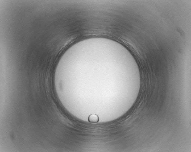 X0000116330264200912011011